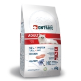 Ontario Cat Adult - 2